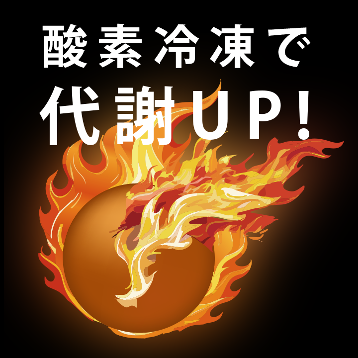 セボビタルサロン初めてコース